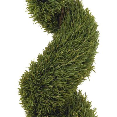 Image showing  5 ft. Indoor/Outdoor Rosemary Spiral Silk Tree