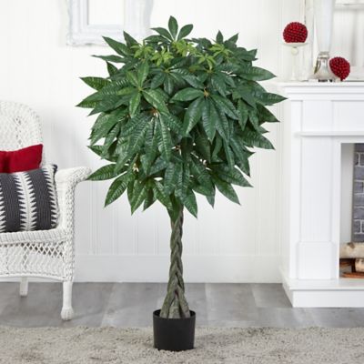 Image showing  51 in. Artificial Braided Money Tree