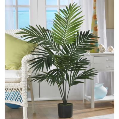 Image showing  5 ft. Silk Kentia Palm Tree