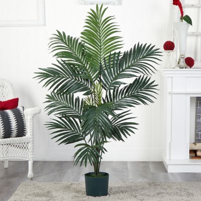 Image showing  5 ft. Silk Kentia Palm Tree