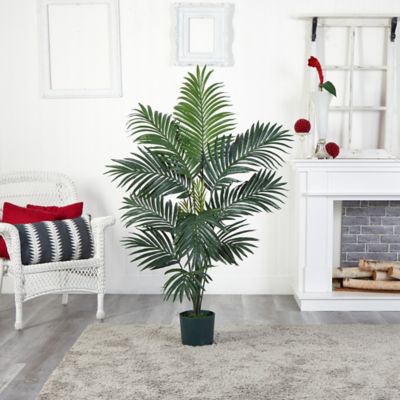 Image showing  5 ft. Silk Kentia Palm Tree