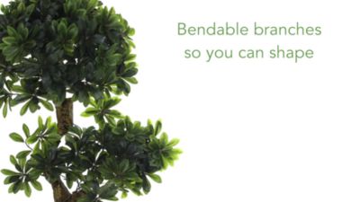 Image showing  5 ft. UV-Resistant Indoor/Outdoor Pittosporum Tree