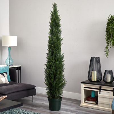 Image showing  7 ft. Two-Tone Green Mini Cedar Pine Tree with 3,614 Tips in 12 in. Pot