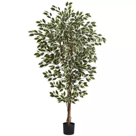 6 Foot Almost Natural Artificial Hawaiian Ficus Artificial Plants & Flowers