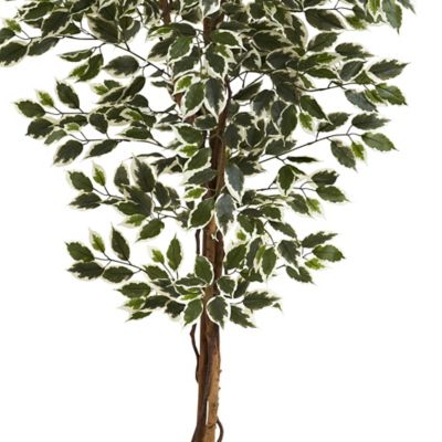 Image showing  6 ft. Artificial Hawaiian Ficus Tree