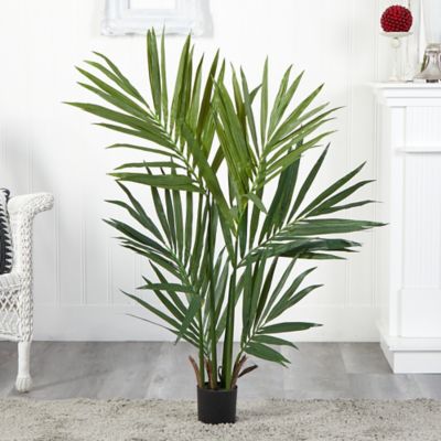 Image showing  4 ft. Silk Kentia Palm Tree