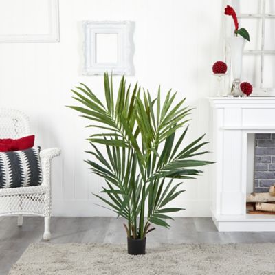 Image showing  4 ft. Silk Kentia Palm Tree