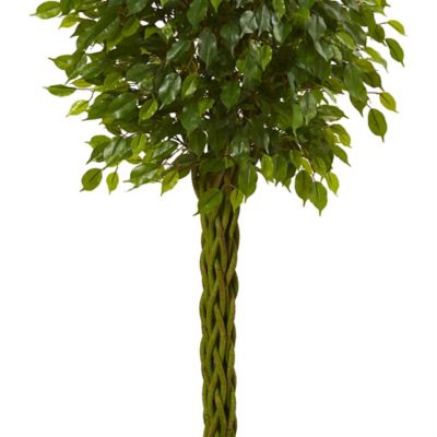 Image showing  5 ft. UV-Resistant Indoor/Outdoor Artificial Ficus Tree with Woven Trunk
