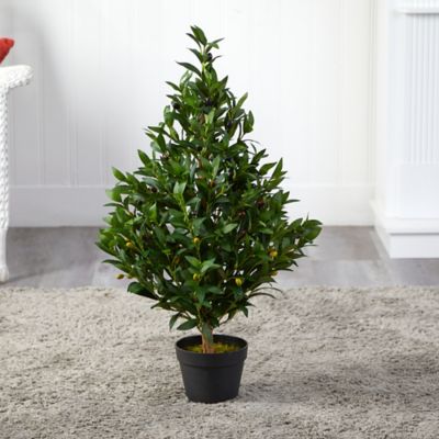 Image showing  35 in. Indoor/Outdoor UV-Resistant Artificial Olive Cone Topiary Tree
