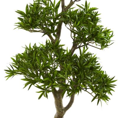 Image showing  37 in. Bonsai Styled Artificial Podocarpus Tree