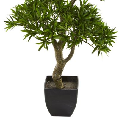 Image showing  37 in. Bonsai Styled Artificial Podocarpus Tree