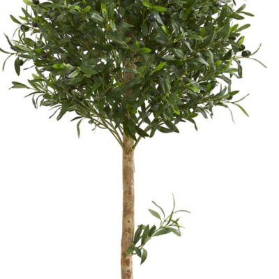 Image showing  5 ft. Artificial Olive Topiary Tree