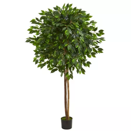 6.5ft Almost Natural Artificial Ficus Artificial Plants & Flowers