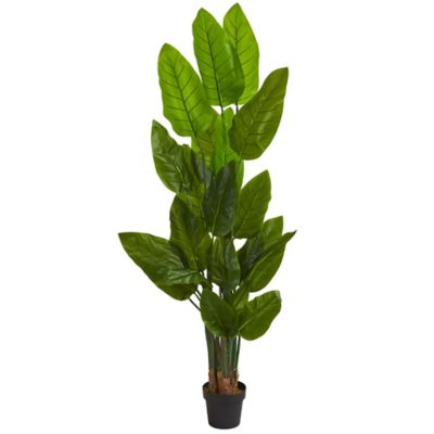 Image showing  6 ft. Artificial Canna Tree