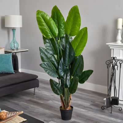 Image showing  6 ft. Artificial Canna Tree