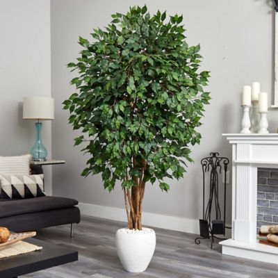 Image showing  6 ft. Artificial Ficus Tree in White Planter