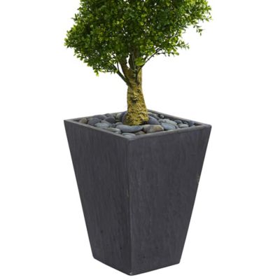 Image showing  5 ft. Indoor/Outdoor UV-Resistant Artificial Boxwood Spiral Topiary Tree in Slate Planter