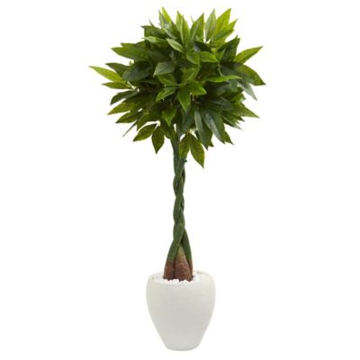 Nearly Natural 5 ft. Real Touch Artificial Money Tree in White Oval Planter