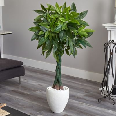 Image showing  5 ft. Real Touch Artificial Money Tree in White Oval Planter