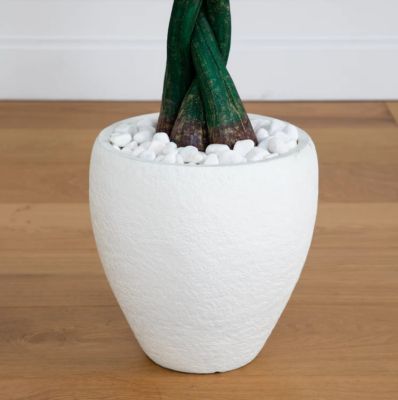 Image showing  5 ft. Real Touch Artificial Money Tree in White Oval Planter
