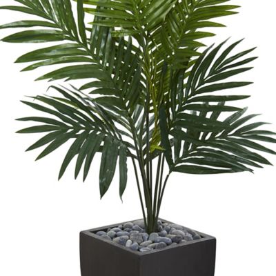 Image showing  4.5 ft. Kentia Palm Artificial Tree in Black Wash Planter