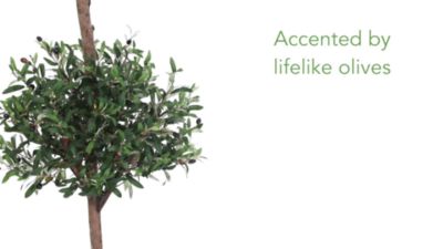 Image showing  5 ft. Artificial Olive Tree in Farmhouse Planter