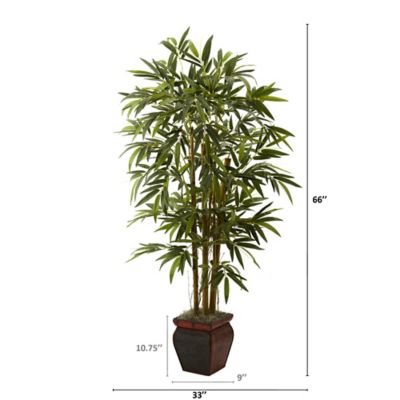 Image showing  5.5 ft. Bamboo Plant with Decorative Planter