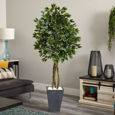 Image showing  6.5 ft. UV-Resistant Indoor/Outdoor Artificial Ficus Tree with Slate Planter