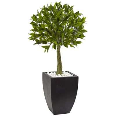 Nearly Natural 42 in. Indoor/Outdoor UV-Resistant Bay Leaf Topiary with Black Wash Planter
