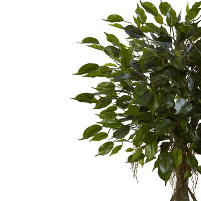Image showing  52 in. Indoor/Outdoor UV-Resistant Ficus Tree with White Planter
