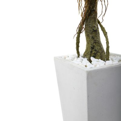 Image showing  52 in. Indoor/Outdoor UV-Resistant Ficus Tree with White Planter