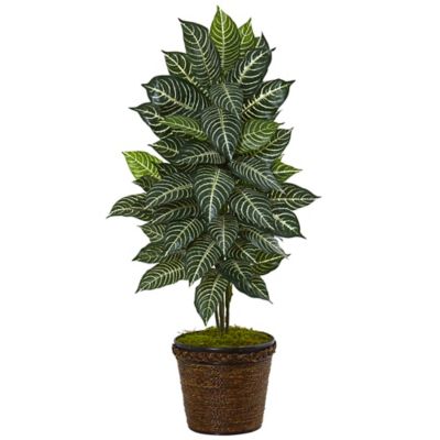Nearly Natural 4 ft. Artificial Zebra Plant in Coiled Rope Planter