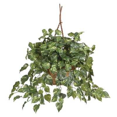 Nearly Natural 26 in. Pothos Hanging Basket Silk Plant