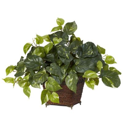 Nearly Natural 17 in. Pothos Silk Plant with Coiled Rope Planter