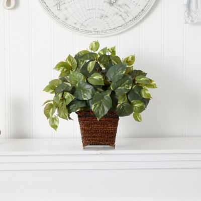 Image showing 1 th Nearly Natural 17 in. Pothos Silk Plant with Coiled Rope Planter