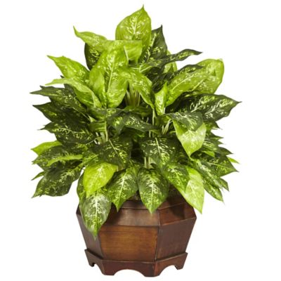 Nearly Natural 24 in. Variegated Dieffenbachia with Large Hexagon Silk Plant