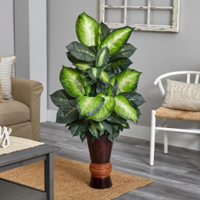 Image showing  50 in. Golden Dieffenbachia with Bamboo Planter
