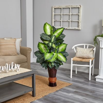 Image showing  50 in. Golden Dieffenbachia with Bamboo Planter