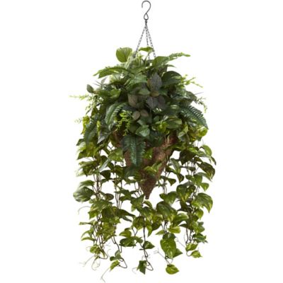 Nearly Natural 36 in. Vining Mixed Greens in Cone Hanging Basket