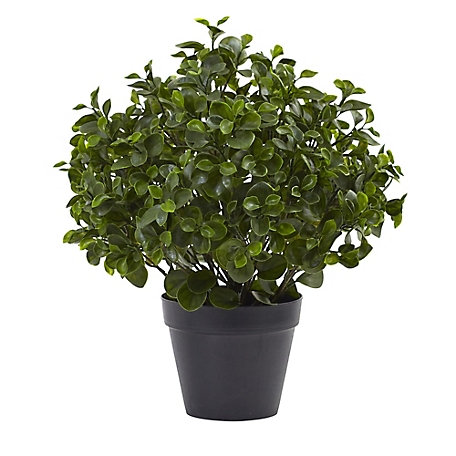 Nearly Natural 23 in. UV-Resistant Indoor/Outdoor Peperomia Plant