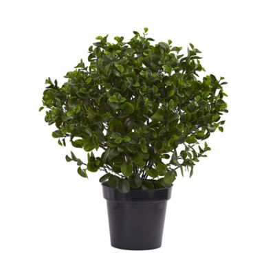 Nearly Natural 28 in. UV-Resistant Indoor/Outdoor Peperomia Plant