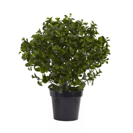 Almost Natural 28" UV Resistant Indoor/Outdoor Peperomia Plant Artificial Plants & Flowers