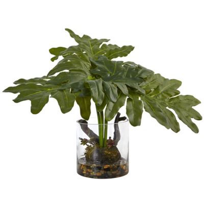 Image showing  14 in. Philodendron Arrangement with Vase
