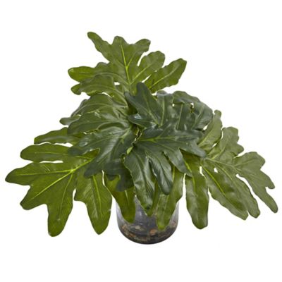Image showing  14 in. Philodendron Arrangement with Vase