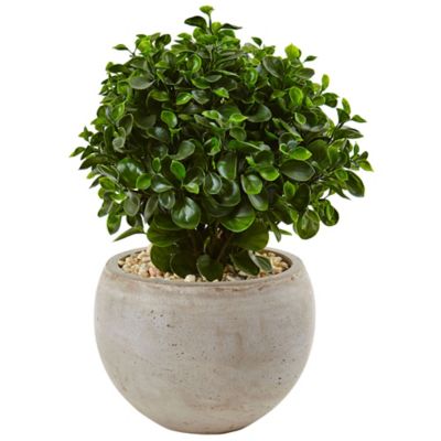 Nearly Natural 2 ft. Indoor/Outdoor UV-Resistant Eucalyptus Silk Plant in Sand-Colored Bowl