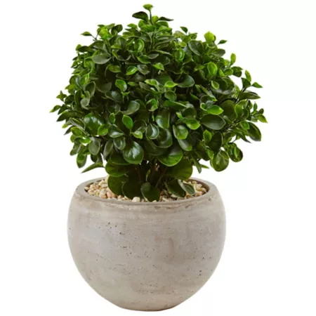 2 ft Almost Natural Indoor/Outdoor UV Resistant Eucalyptus Silk Plant in Sand Colored Bowl Artificial Plants & Flowers