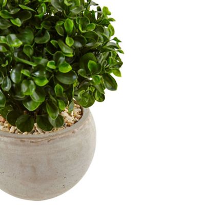 Image showing  2 ft. Indoor/Outdoor UV-Resistant Eucalyptus Silk Plant in Sand-Colored Bowl