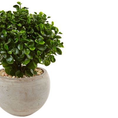 Image showing  2 ft. Indoor/Outdoor UV-Resistant Eucalyptus Silk Plant in Sand-Colored Bowl