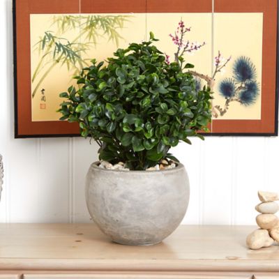 Image showing  2 ft. Indoor/Outdoor UV-Resistant Eucalyptus Silk Plant in Sand-Colored Bowl