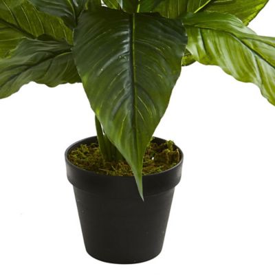 Image showing  26 in. Real Touch Spathiphyllum Artificial Plant